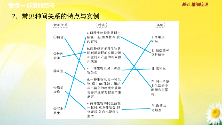 高三生物总复习课件-选择性必修2 生物与环境：第39讲　群落及其演替(共40张PPT)