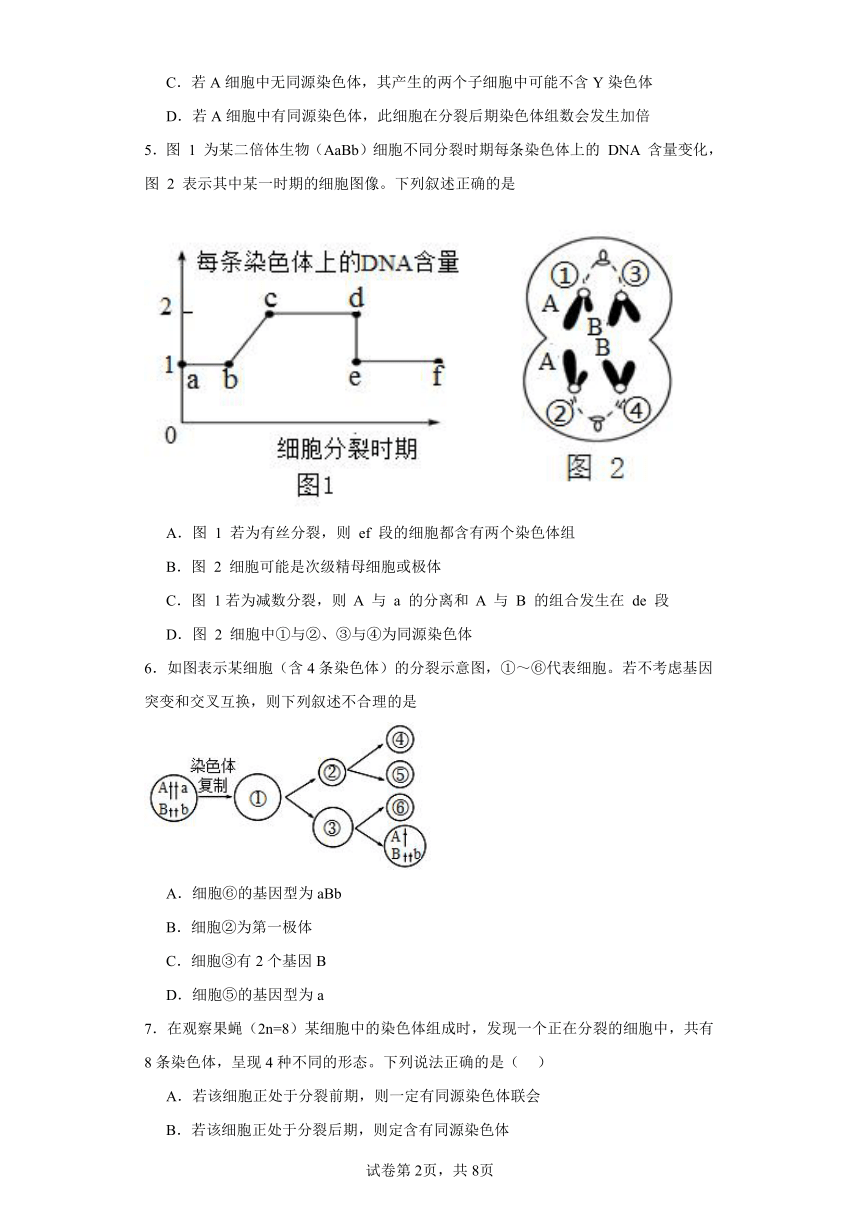 人教版高中生物必修2第2章第1节减数分裂和受精作用同步练习（含答案）