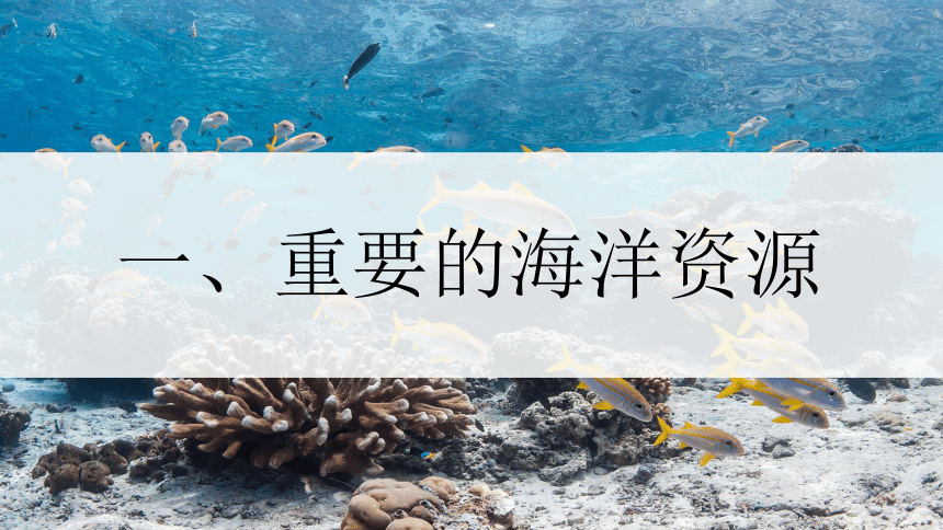3.4 中国的海洋资源 课件(共22张PPT)湘教版八年级地理上册