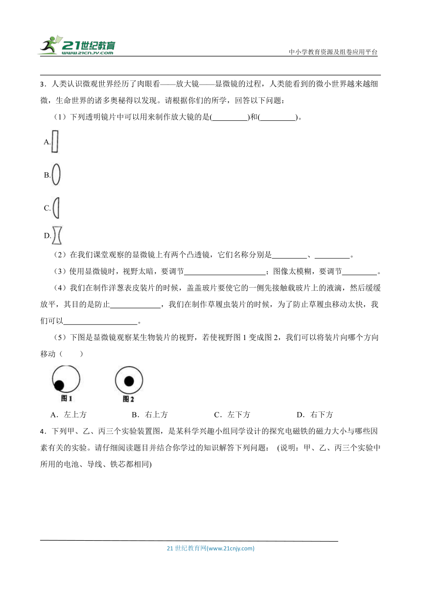 教科版六年级上册科学期末实验探究题专题训练（含答案）