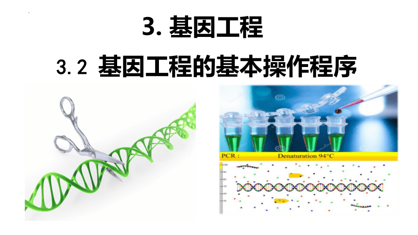 3.2基因工程的基本操作程序课件（共64张PPT）-人教版选择性必修3