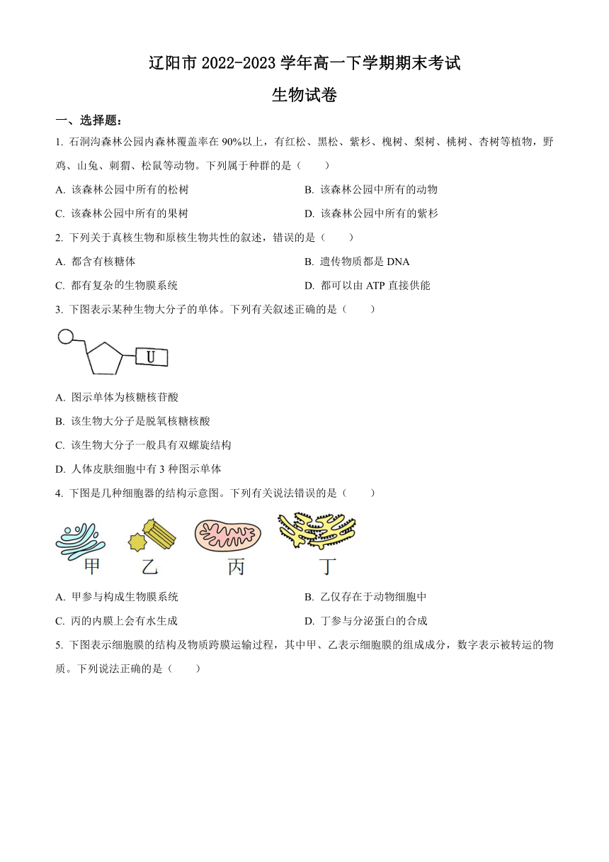 辽宁省辽阳市2022-2023学年高一下学期期末考试生物学试题（解析版）