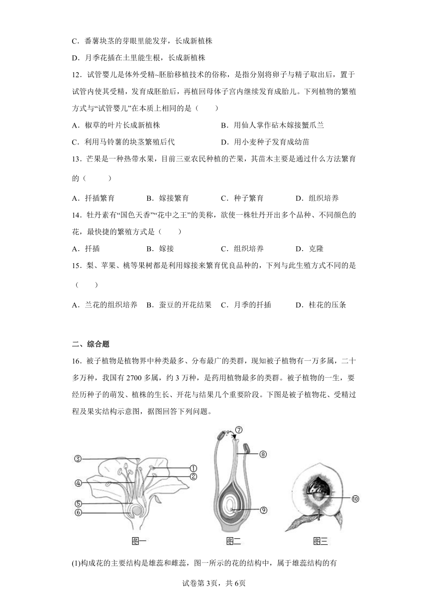 7.1.1植物的生殖同步练习（含解析）人教版八年级下册