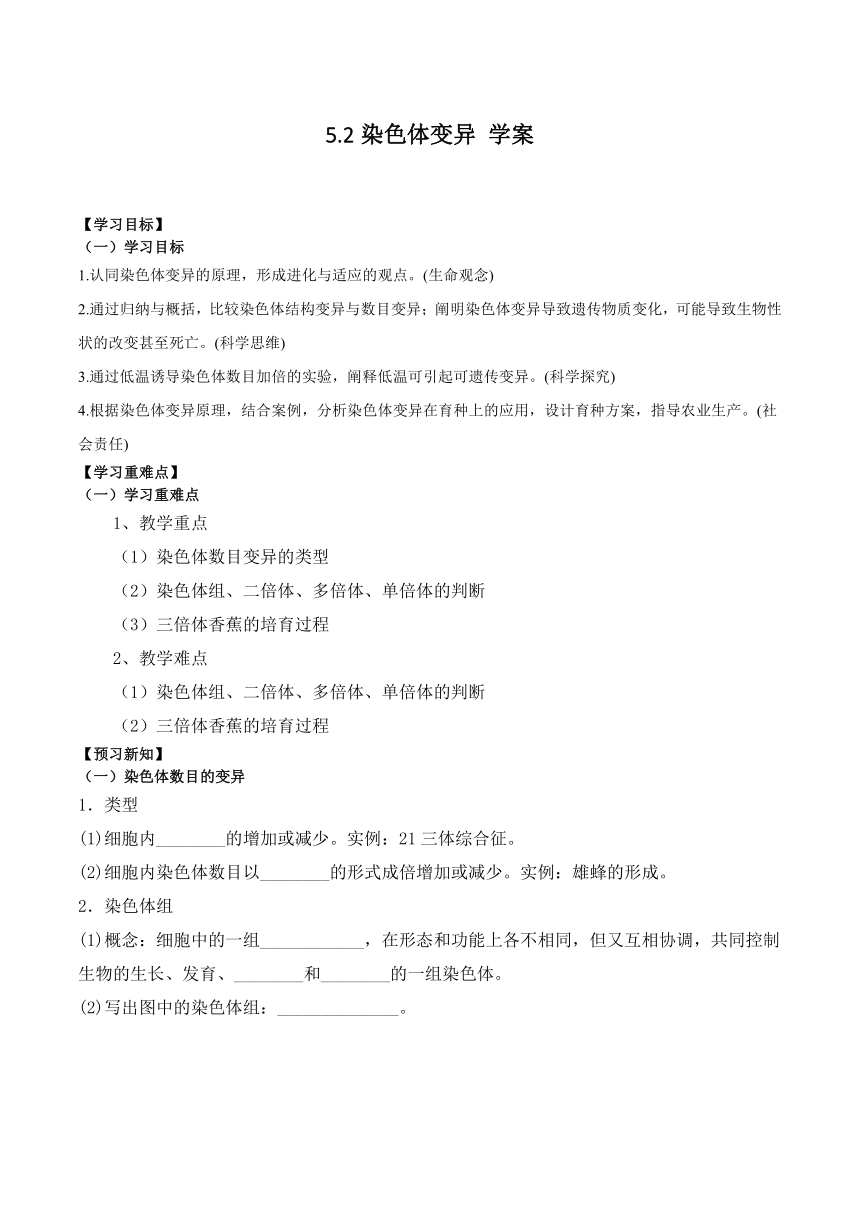 5.2染色体变异导学案-2023-2024学年高一下学期生物人教版必修2（含答案）