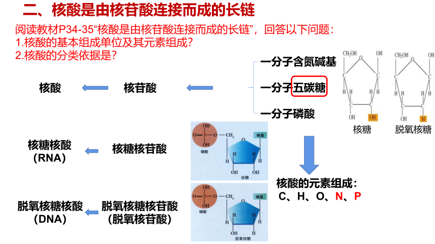 2.5 核酸是遗传信息的携带者课件(共29张PPT)-2023-2024学年高一上学期生物人教版（2019）必修1