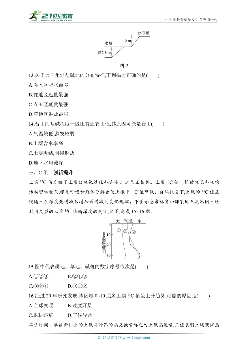 2024浙江专版新教材地理高考第一轮基础练--考点分层练44　土壤剖面（含解析）