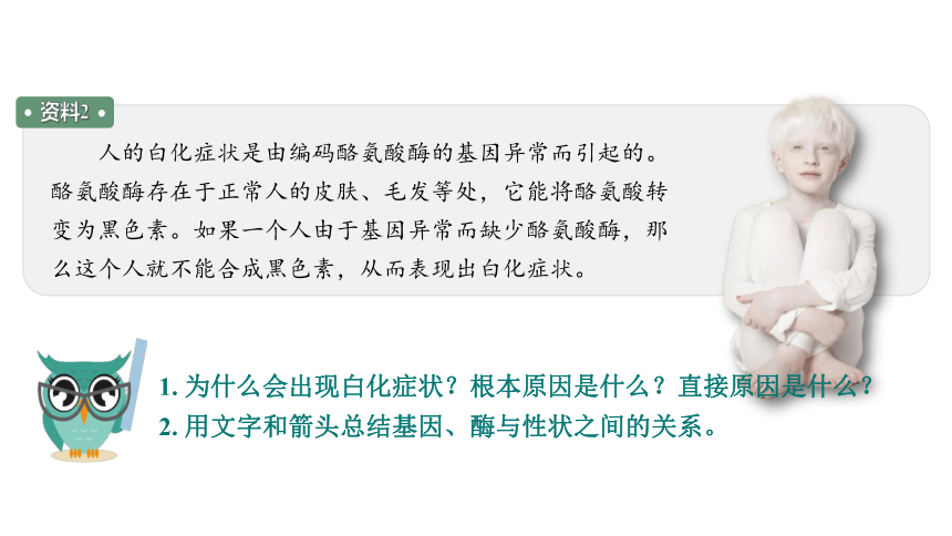 4.2 基因表达与性状的关系-2023-2024学年高一生物人教版必修第二册课件(共56张PPT)