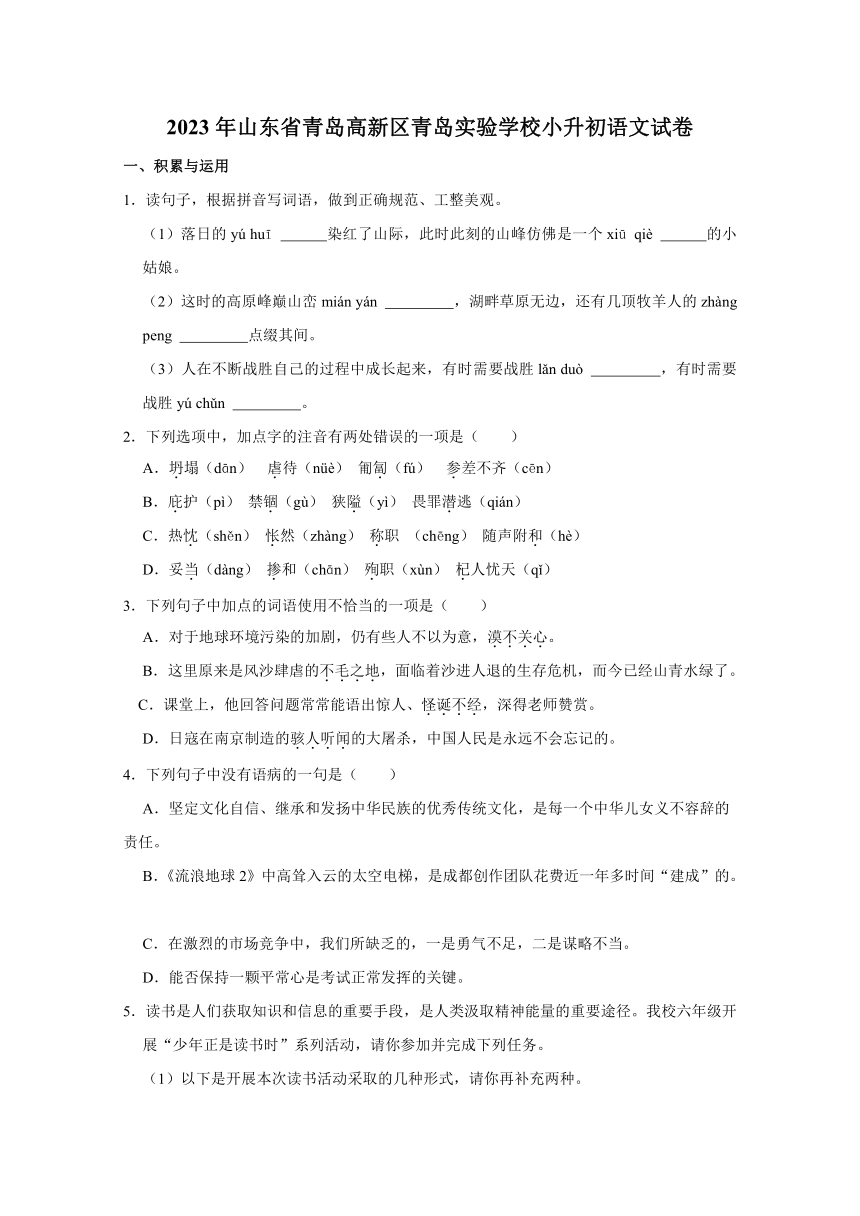 2023年山东省青岛高新区青岛实验学校小升初语文试卷（含解析）