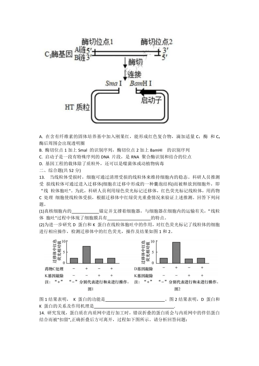 天津市武清区杨村第一高级中学校2023-2024学年高三上学期开学学业质量检测生物学试卷（Word版含答案）