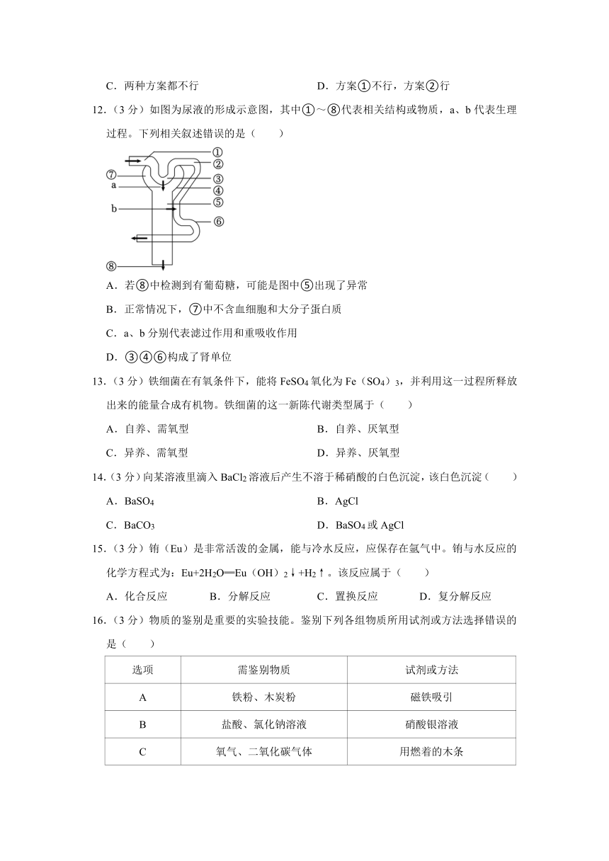 浙江省台州市椒江区北大附中台州飞龙湖学校2023-2024学年九年级上学期9月月考科学试卷（第1、2、4章，含解析）