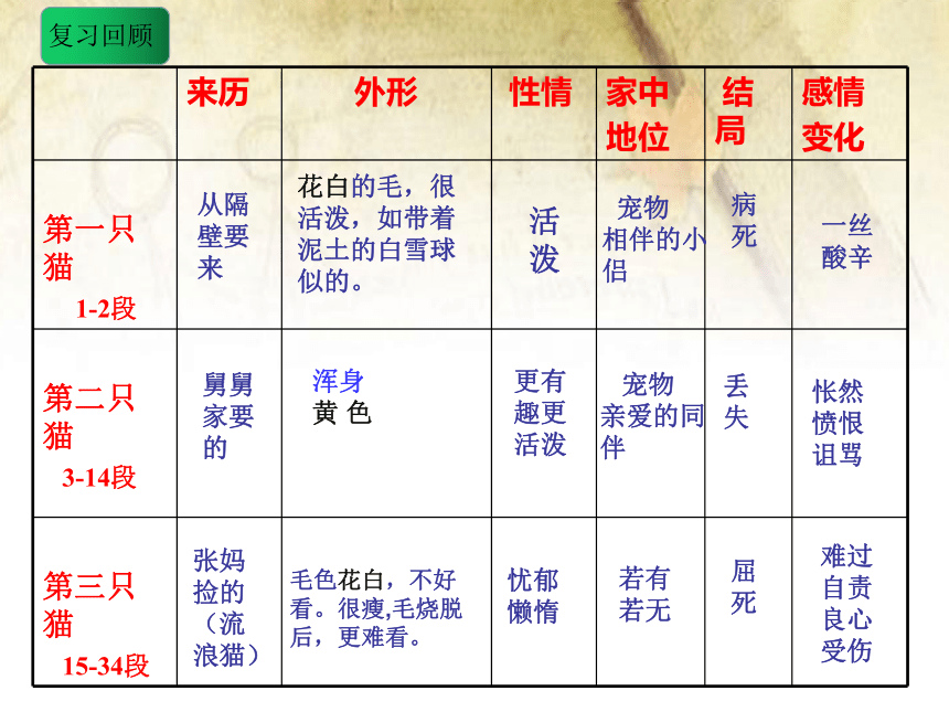 统编版初中语文七年级上册第16课《猫》课件(共19张PPT)