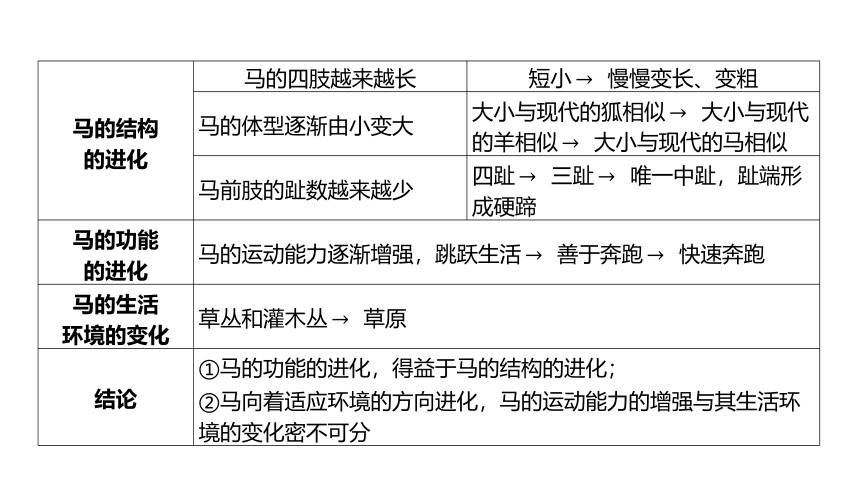 1.4生物的进化（课件 28张PPT 学案)