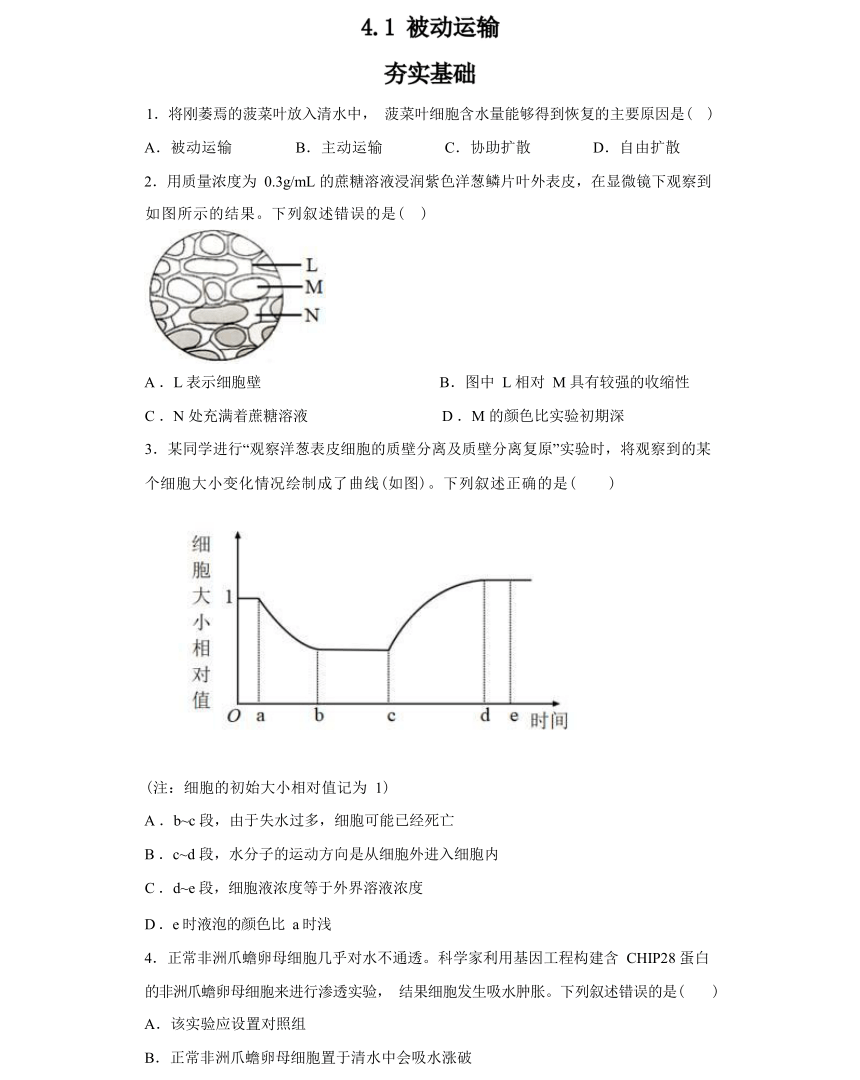 4.1 被动运输 综合练习-高一生物学（人教版2019必修1）（有解析）