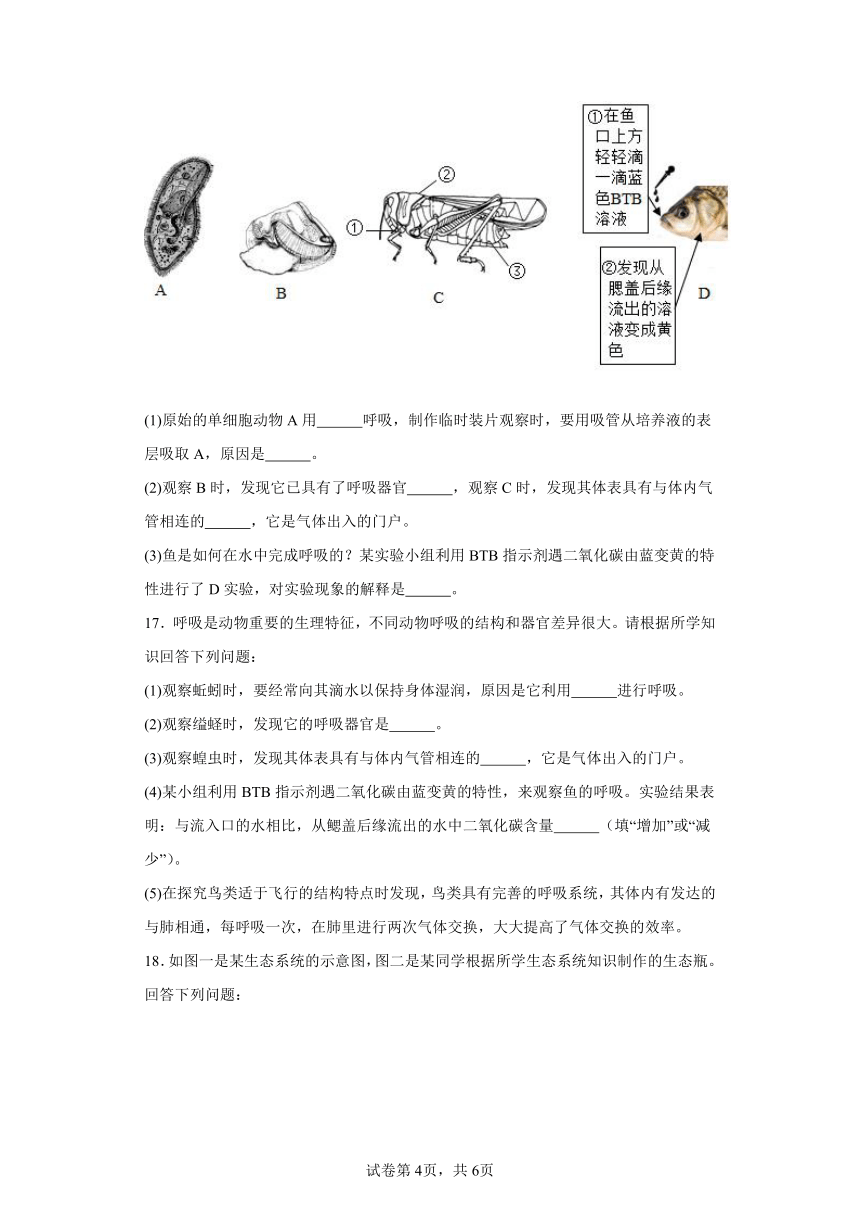 2023-2024学年初中生物苏教版八年级上册期末测试模拟卷2（答案+解析）