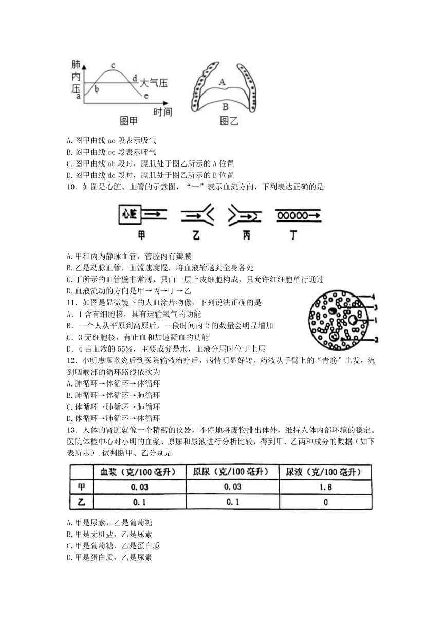 山东省滨州市沾化区2022-2023学年七年级下学期期末考试生物试题（含答案）