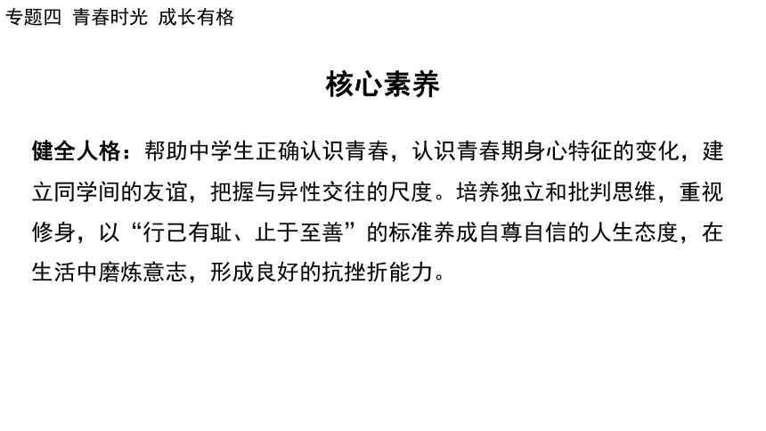 2024年中考道德与法治二轮总复习课件(共73张PPT)：专题四  青春时光  成长有格