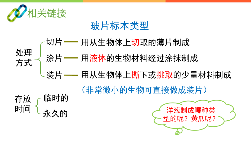 1.2.1细胞的结构与功能 课件(共37张PPT)2023--2024学年济南版生物七年级上册