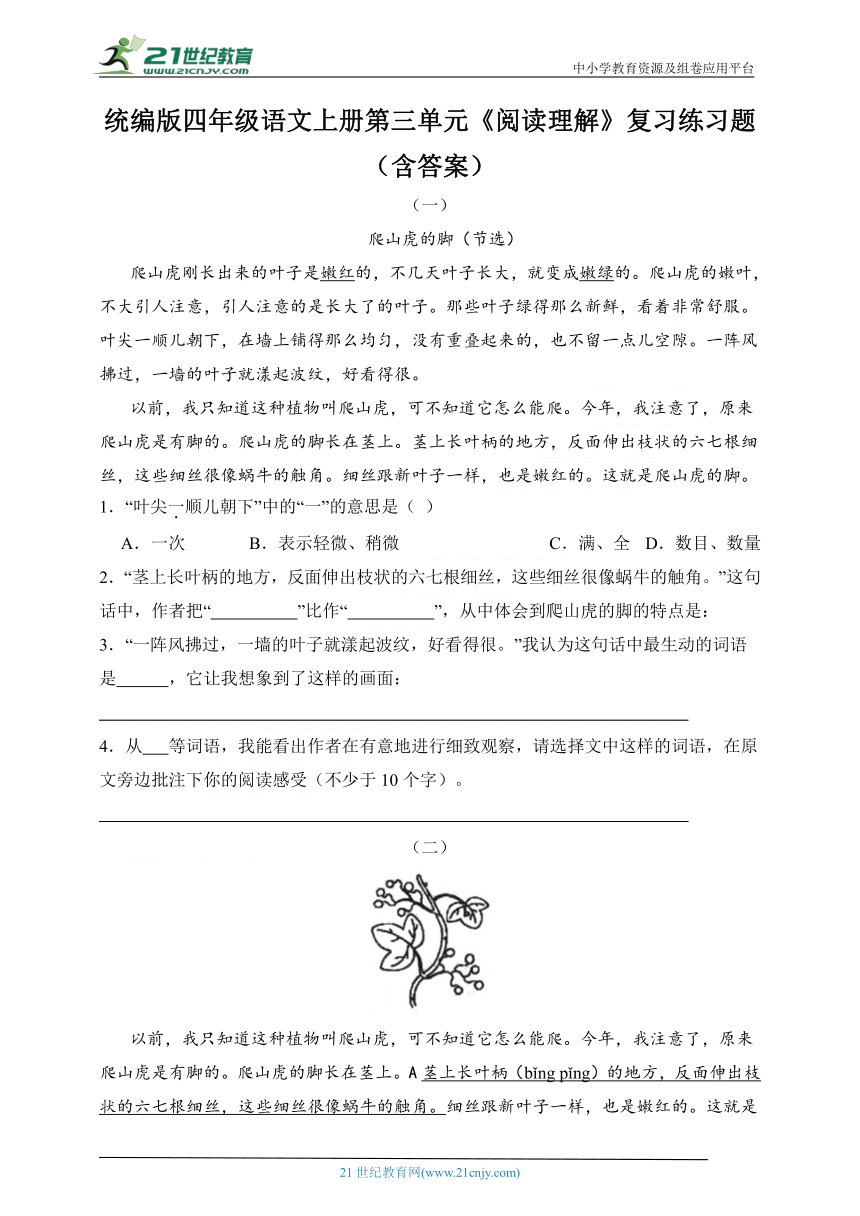 统编版四年级语文上册第三单元《阅读理解》复习练习题（含答案）