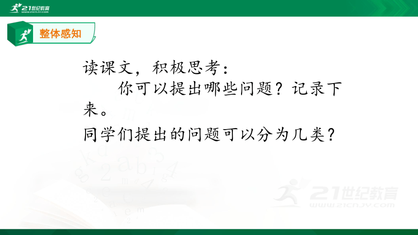 5一个豆荚里的五粒豆 课件