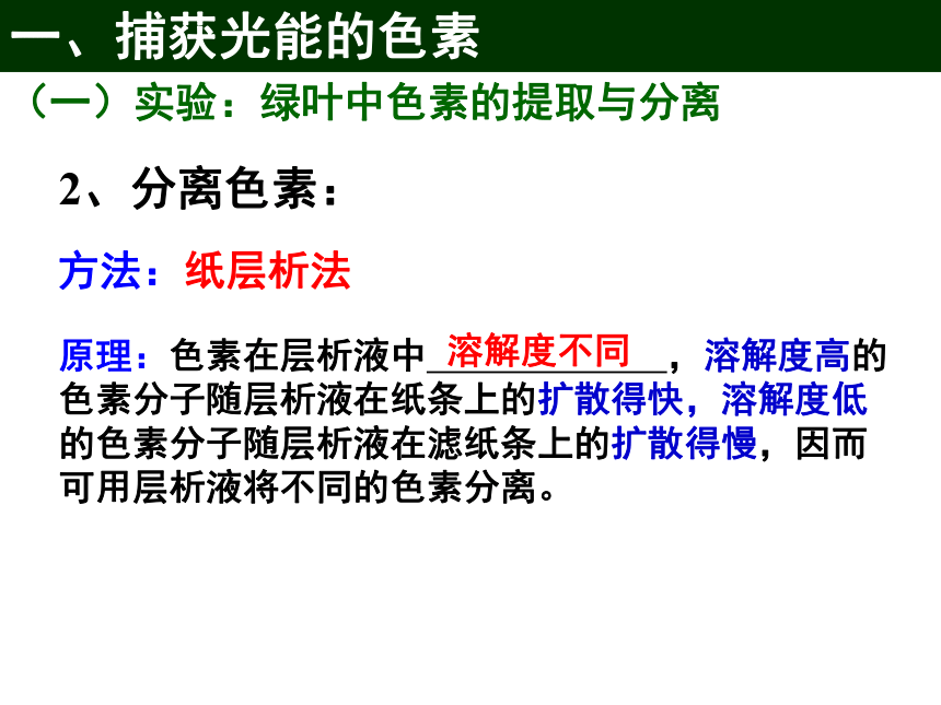 人教版（2019） _ 必修1 分子与细胞 5.4光合作用与能量转化(共63张PPT)