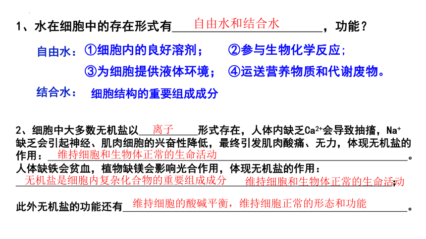 2.3 细胞中的糖类和脂质课件（共22张PPT）-2023-2024学年高一上学期生物人教版（2019）必修1