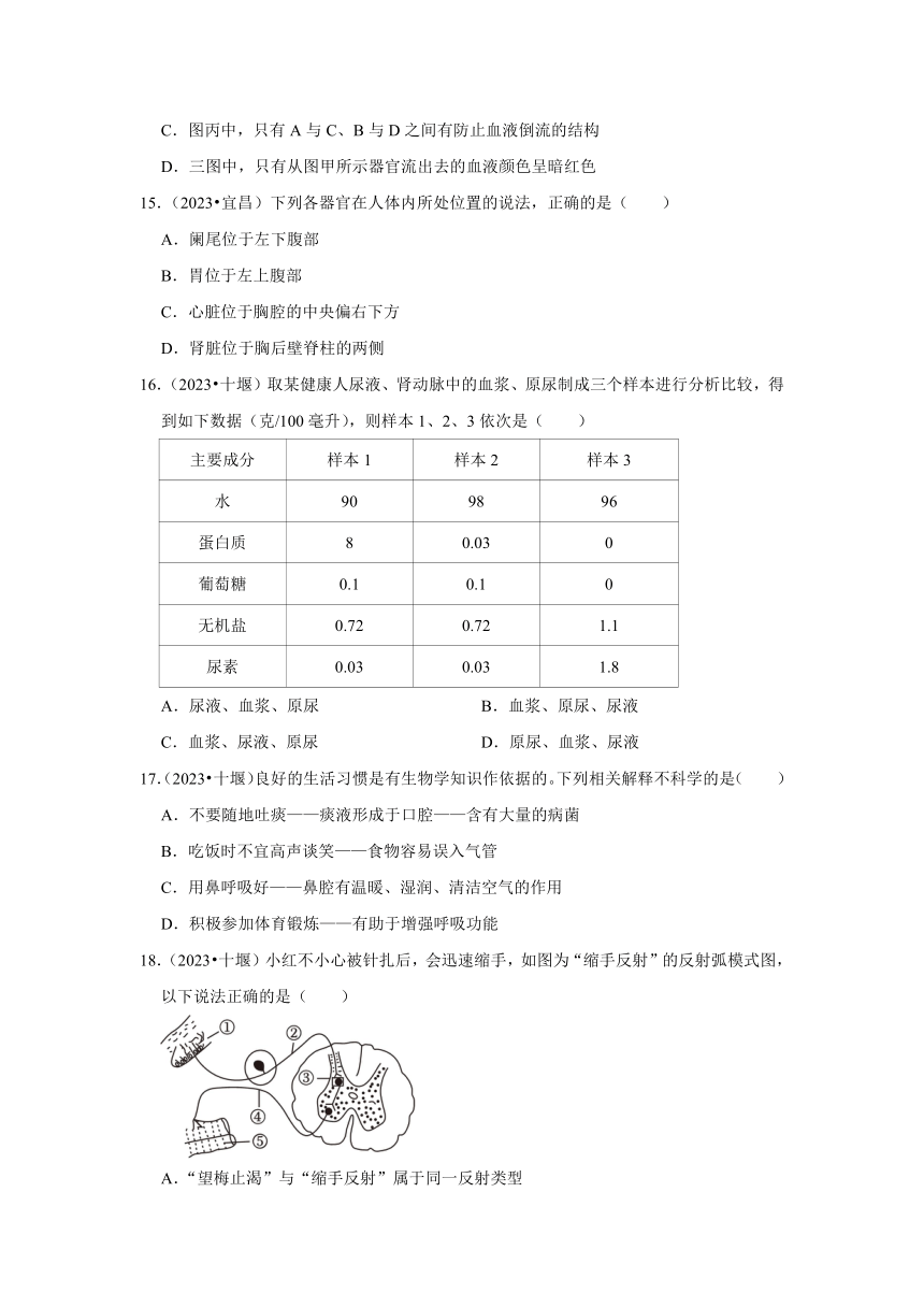 专题4人体系统——2022-2023年湖北省中考生物试题分类（word版+解析版）