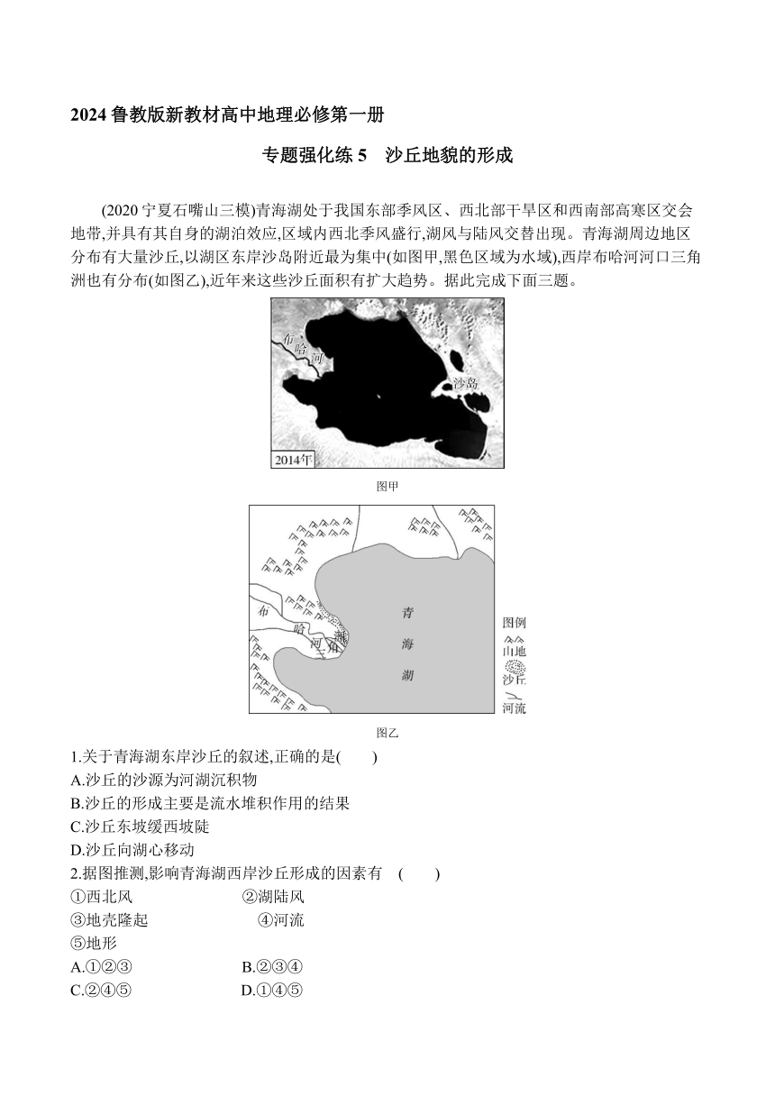 2024鲁教版新教材高中地理必修第一册同步练习--专题强化练5  沙丘地貌的形成（含答案）
