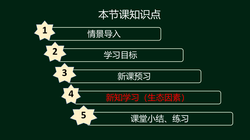 8.23.1生物的生存依赖一定的环境课件2023--2024学年北师大版生物八年级下册(共30张PPT)