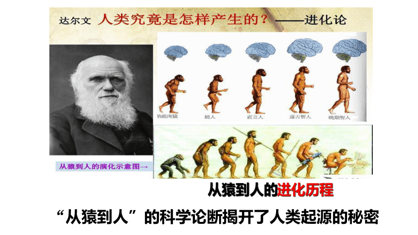 第1课 中国境内早期人类的代表——北京人  课件（21张PPT）