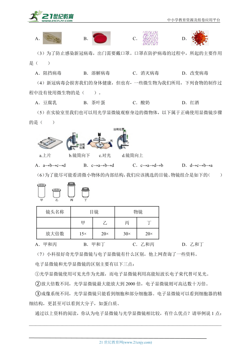 教科版六年级科学上册期中检测卷（A）（含答案）