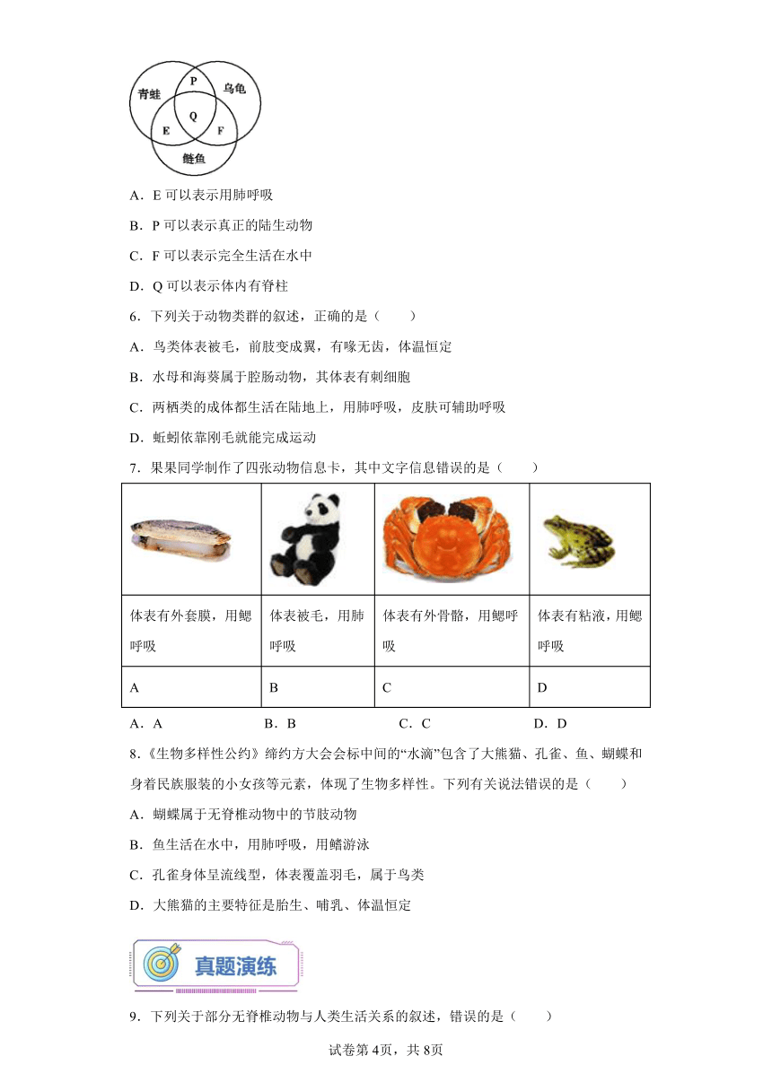 第03讲动物的主要类群（三）   人教版七年级生物暑假练习（含解析）