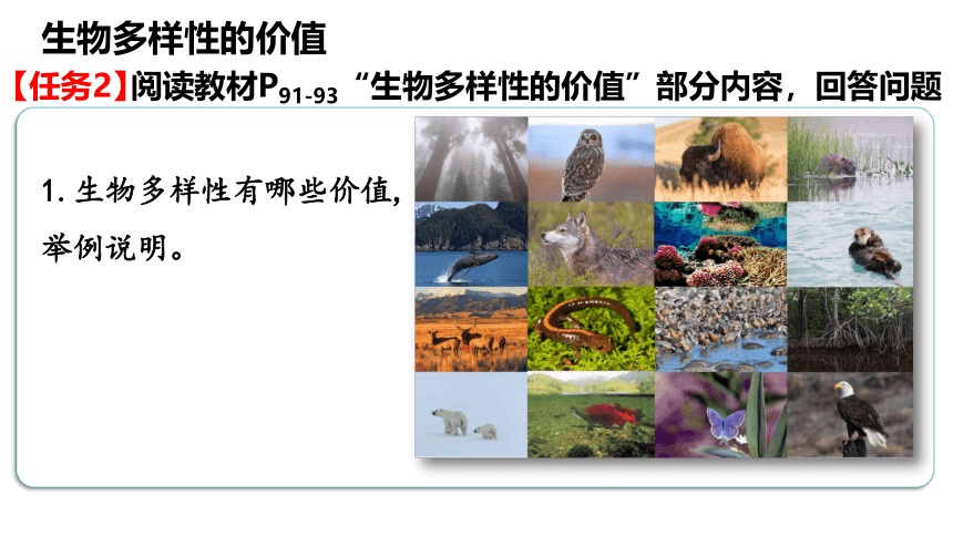4.2生物多样性及其保护课件(共21张PPT)-人教版（2019）选择性必修2