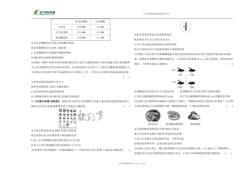 (北课改版）2023-2024学年度上学期八年级期末复习生物试题精编卷（二）（含答案解析）