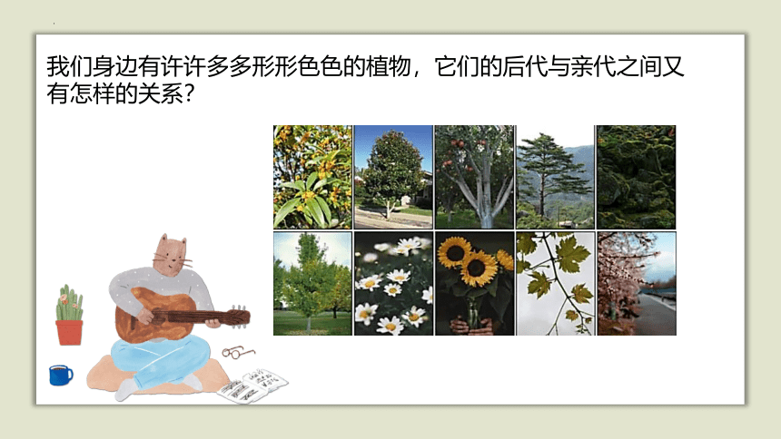 人教版五年级上册科学6.植物的后代与亲代（课件）(共27张PPT)