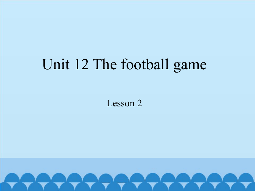Unit 12  The  football  game  Lesson 2 课件(共9张PPT)
