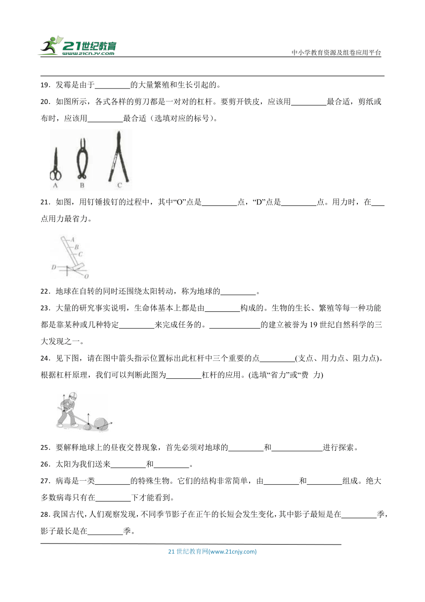 青岛版六年级上册科学期末填空题专题训练（含答案）