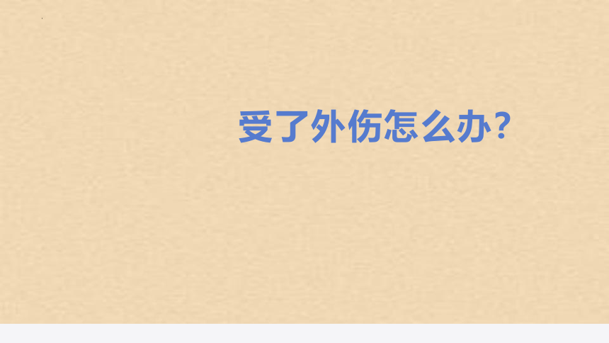 “安全伴我行”（课件）-(共48张PPT)小学生主题班会通用版