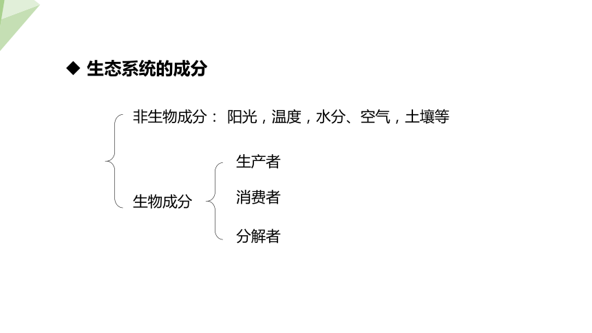 7.19.1 生态系统的组成 课件 (共23张PPT)2023-2024学年初中生物苏教版八年级上册