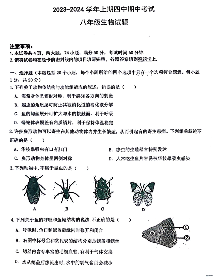 河南省郑州市第四初级中学2023-2024学年八年级上学期期中生物试题（PDF版含答案）