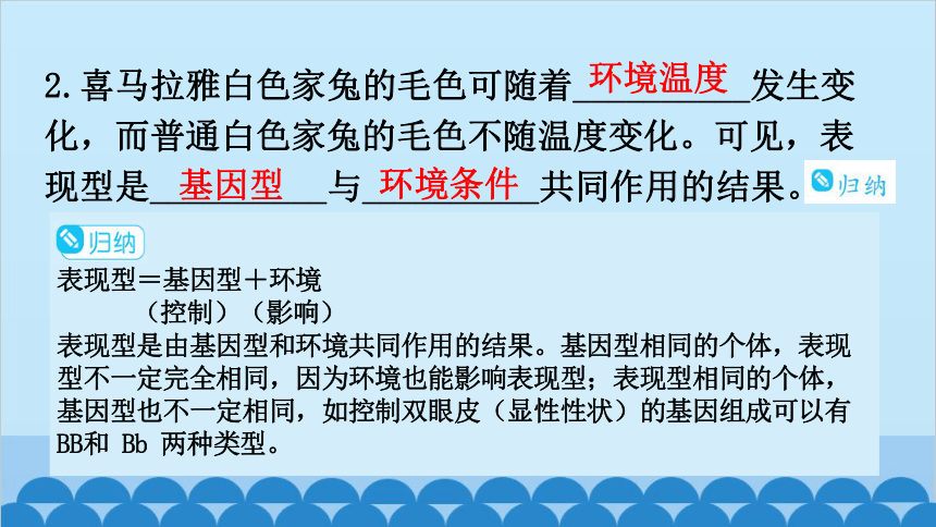 6.20.5遗传与环境课件(共26张PPT)北师大版生物八年级上册