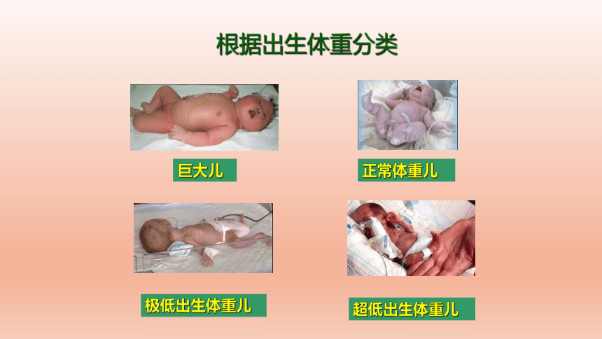 2.6.1正常新生儿的特点及护理（课件）-中职《儿科护理》同步教学（江苏凤凰教育出版社）(共40张PPT)