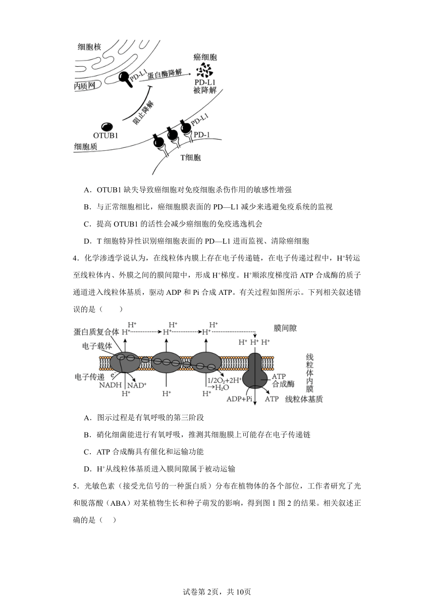 2024届天津市河西区高三一模生物试题（含解析）