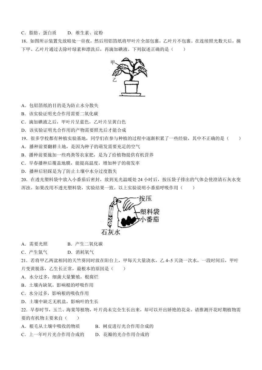 山东省烟台市龙口市2022-2023学年六年级下学期期末生物试题(无答案)