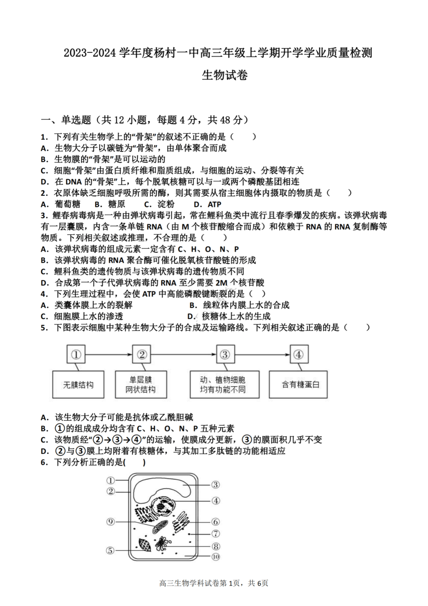 天津市武清区杨村第一高级中学校2023-2024学年高三上学期开学学业质量检测生物学试卷（扫描版含答案）