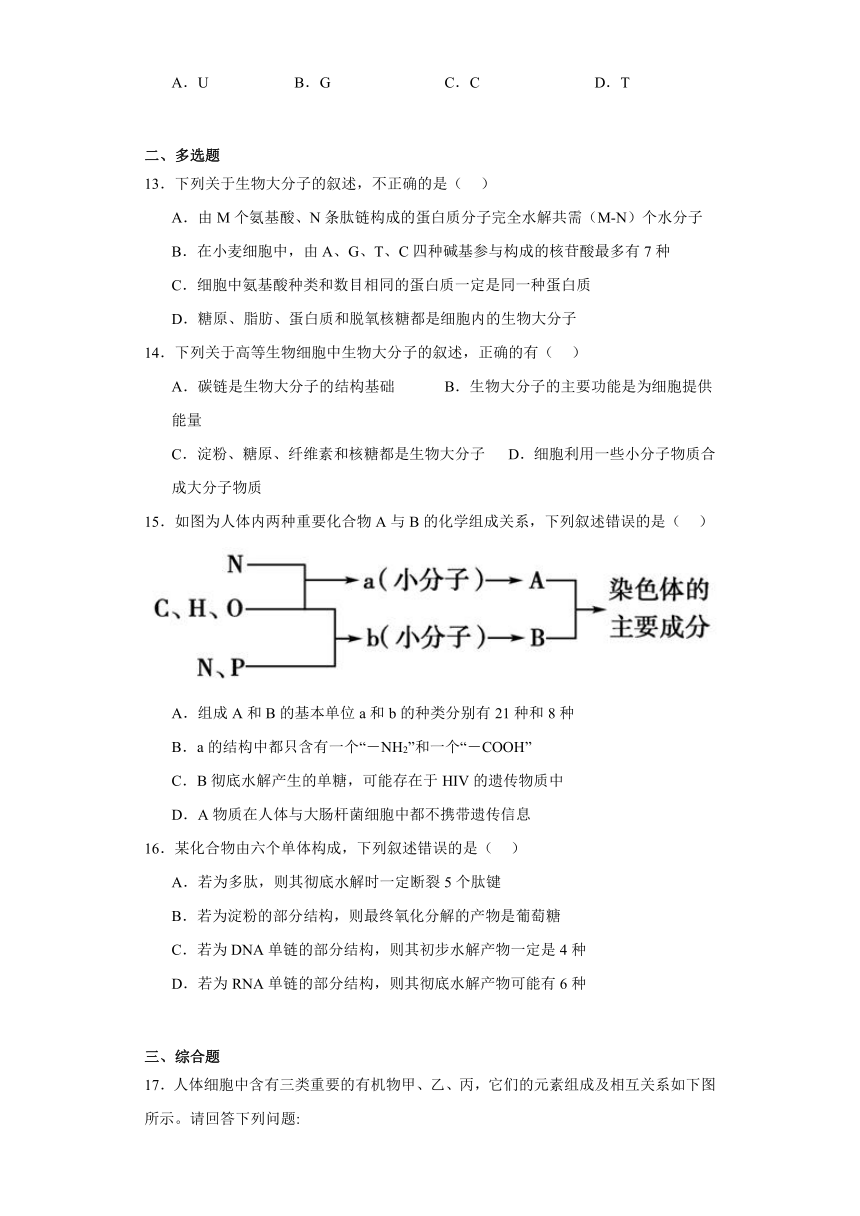 2.5核酸是储存与传递遗传信息的生物大分子 测试题（含解析）2023-2024学年高中生物学沪教版（2019）必修一