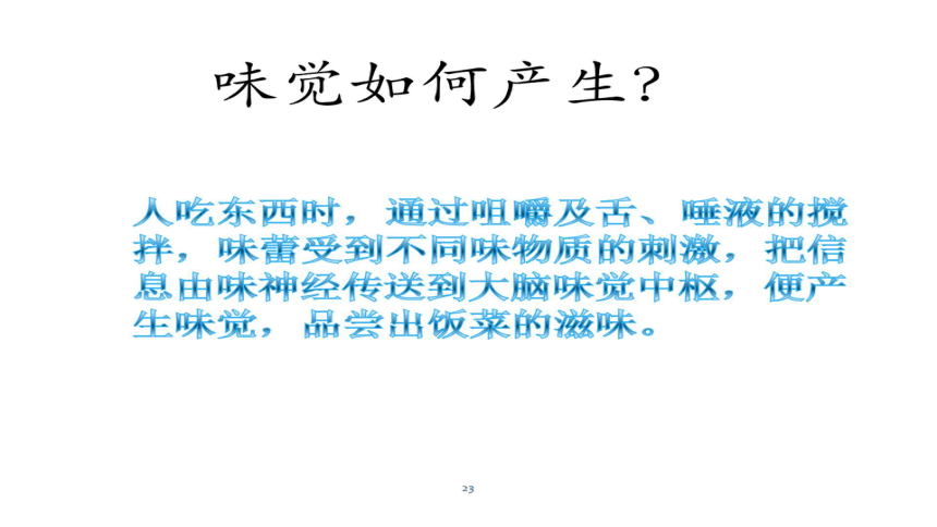 青岛版（六三制2017秋）科学六年级下册1.4  嗅觉和味觉    课件 (共20张PPT)