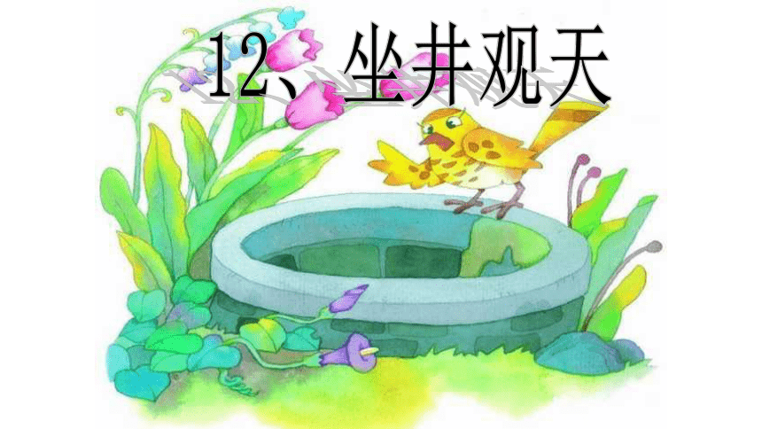 12 坐井观天 课件(共19张PPT)