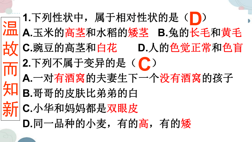 20.2 性状遗传的物质基础-2023-2024学年八年级生物上册同步教学课件（北师大版）(共33张PPT)