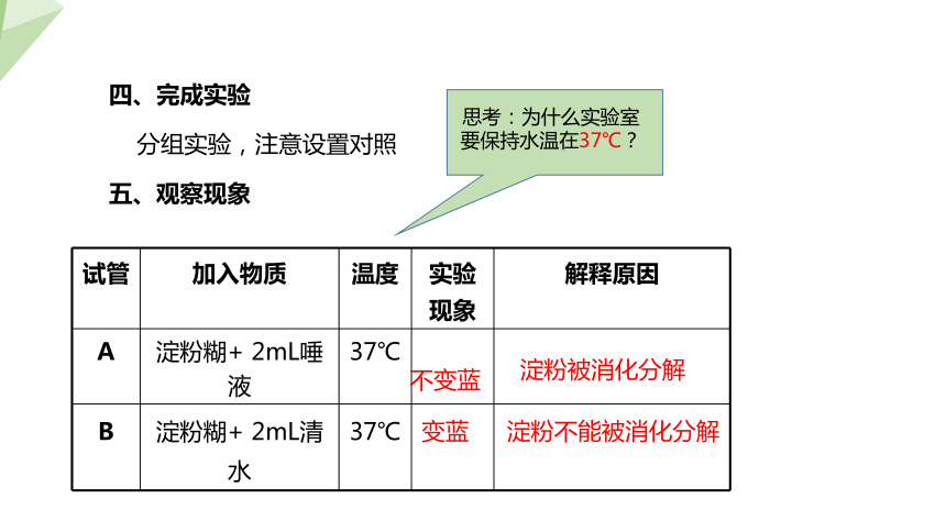 2.1.2 食物的消化  课件(共27张PPT) 2023-2024学年初中生物冀少版七年级下册