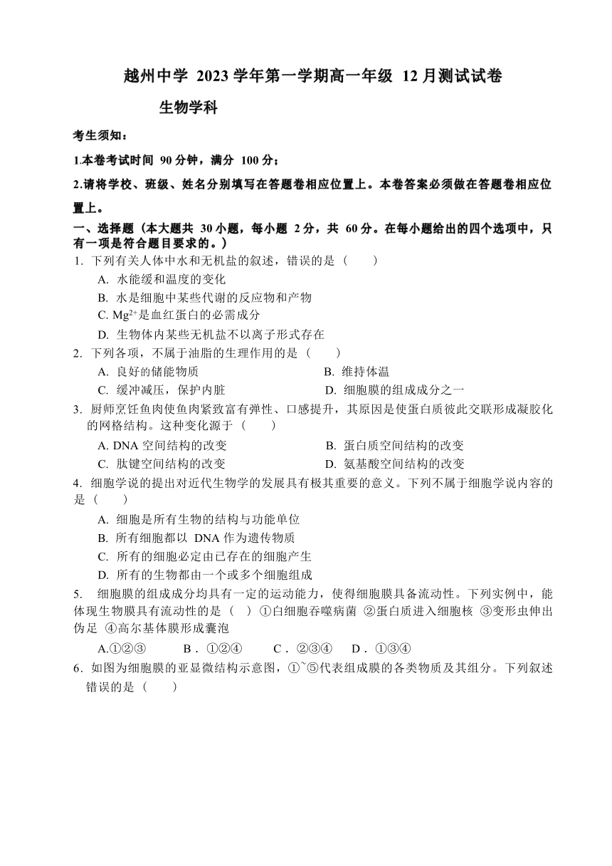 浙江省绍兴市越城区2023-2024学年高一上学期12月月考测试生物学试卷（含答案）